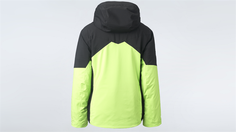 Men's ski jacket Lint